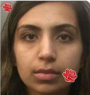 Profile image of Beinash Batool
